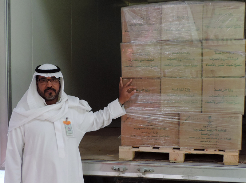 500 كرتون تمر لجمعية وادي نخلة اليمانية