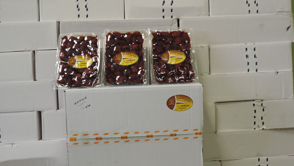 2500 كرتون تمر من الشيخ إبراهيم الموسى